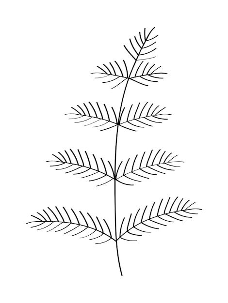 Christmas tree branch sketch doodle Vector illustration of isolate on white