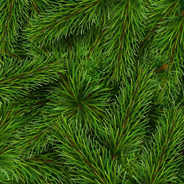 Christmas tree branches background. A template for a Christmas card or invitation to event.