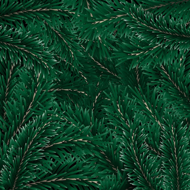 Vector christmas tree branches background.