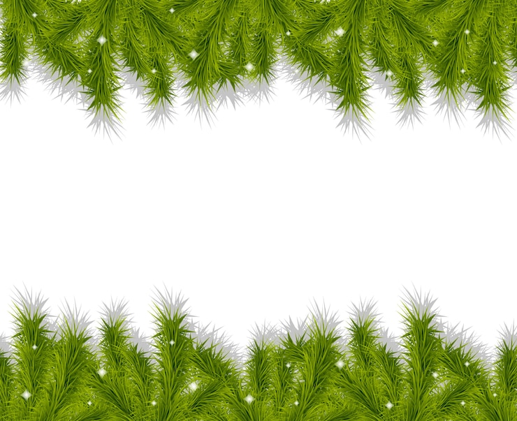Vector christmas tree branches borders decorative background.