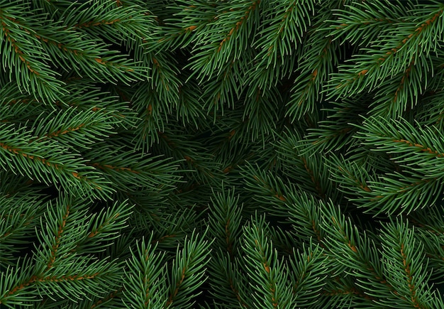 Vector christmas tree branches. festive xmas border of green branch of pine. pattern pine branches, spruce branch. realistic design decoration elements. vector illustration