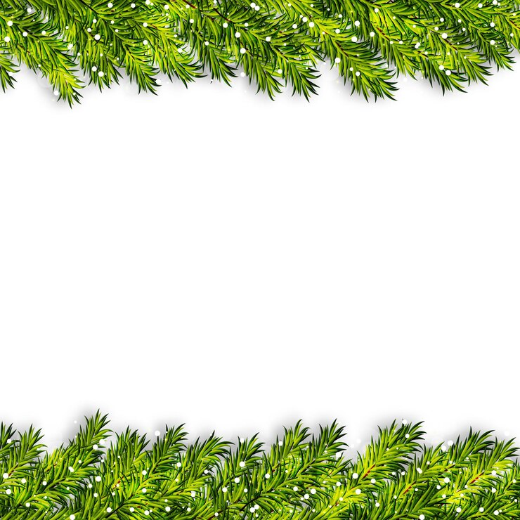 Vector christmas tree branches frame vector