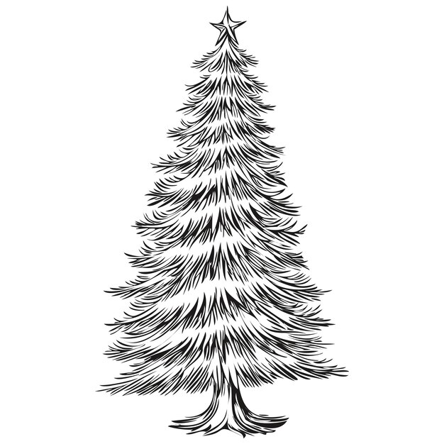 Vector christmas tree drawing in black and white hand drawn engraving timeless sketch artistry theme for the season black white isolated vector ink outlines template for greeting card poster invitation logo