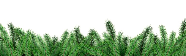 벡터 흰색 배경에 가문비나무 가지가 있는 크리스마스 트리 프레임 녹색 전나무 장식 포스터