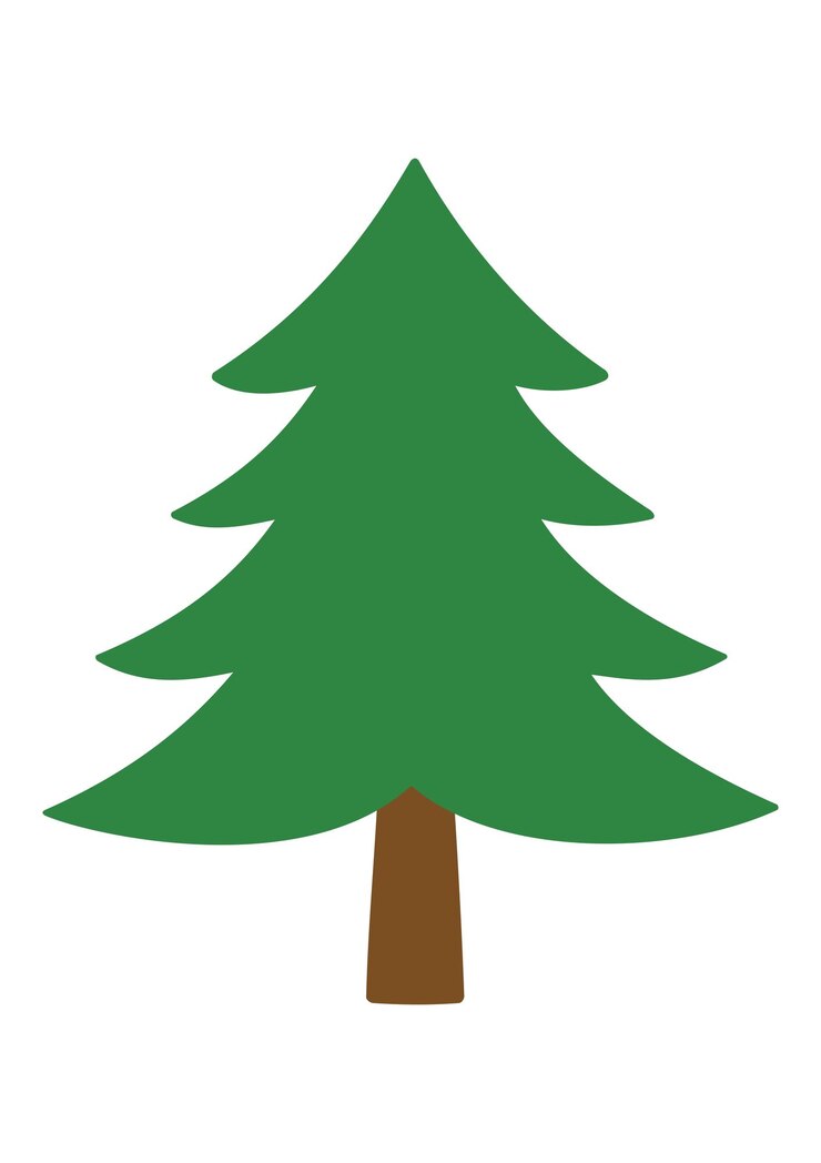 CHRISTMAS TREE ISOLATED PINE TO DECORATE