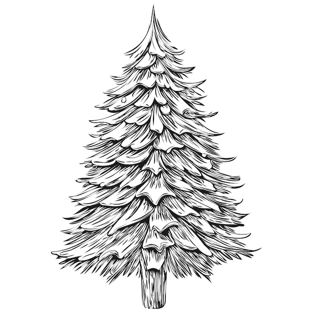 Vector christmas tree vector silhouette sketch hand drawn engraving graphic detailing feature for festive use black white isolated vector ink outlines template for greeting card poster invitation logo