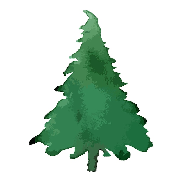 Vector christmas tree watercolor art vector evergreen tree illustration isolated new year