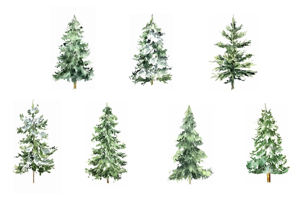 クリスマスツリーの水彩冬のイラスト 自然