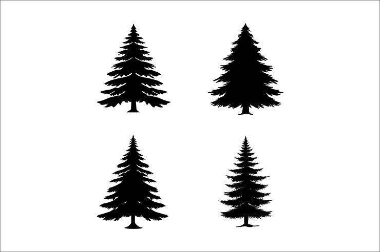 Vector christmas trees silhouette on white background