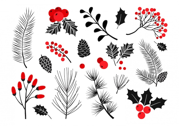 Christmas vector plants, holly berry, christmas tree, pine, rowan, leaves branches, holiday decoration, winter symbols. Red and black colors. Vintage nature illustration