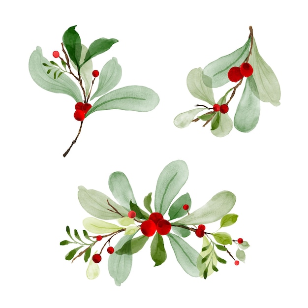 Vector christmas watercolor of bouquet berries and green leaves arrangings set. hand-painted watercolor elements suitable for decorative christmas festival, new year invitations, or greeting cards.