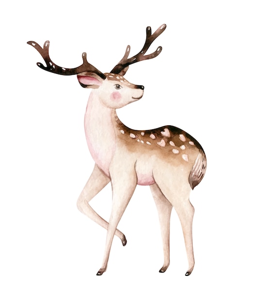 Christmas watercolor deer. Cute kids xmas fawn forest animal illustration