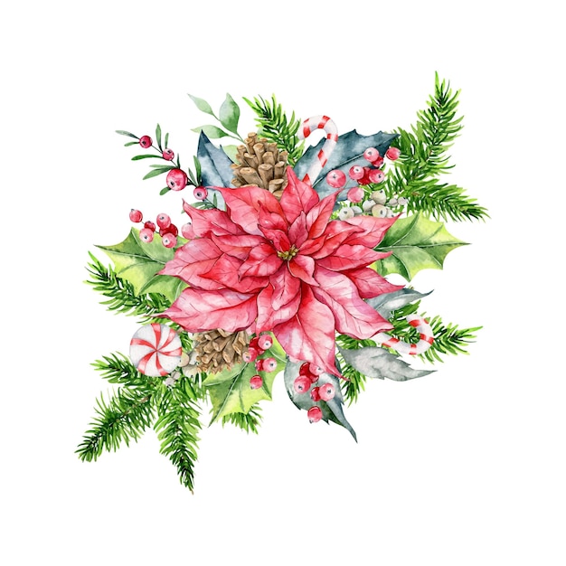 クリスマスの水彩イラスト、冬の花の構図、冬の緑、ポインセチアの水彩画