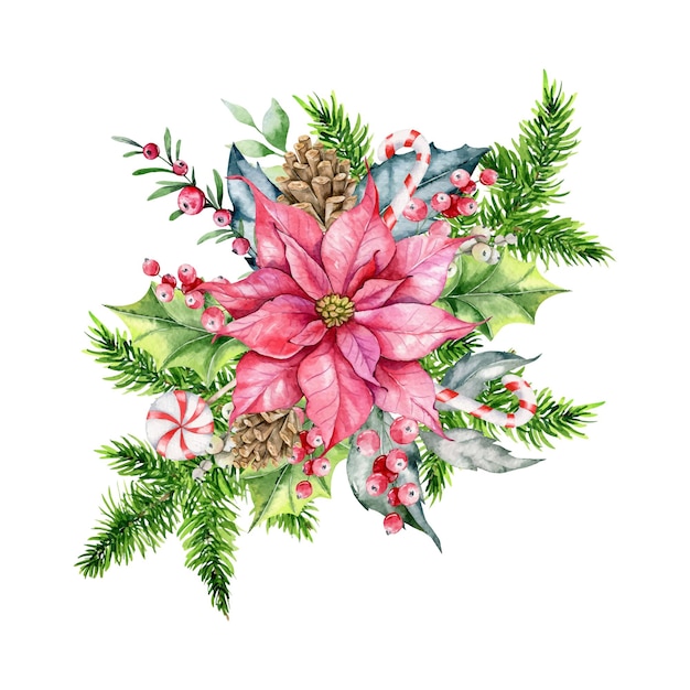 クリスマスの水彩イラスト、冬の花の構図、冬の緑、ポインセチアの水彩画