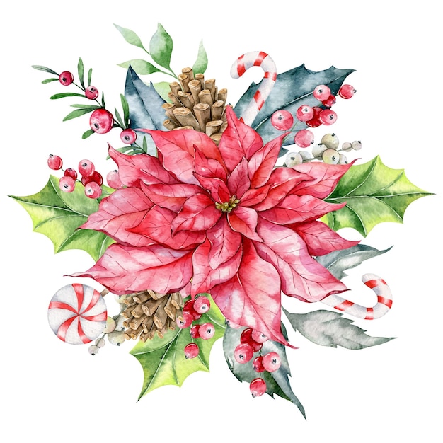 Christmas Watercolor Illustration, winter floral composition, winter greenery, poinsettia watercolor