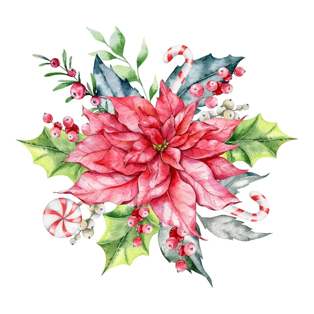 Christmas Watercolor Illustration, winter floral composition, winter greenery, poinsettia watercolor