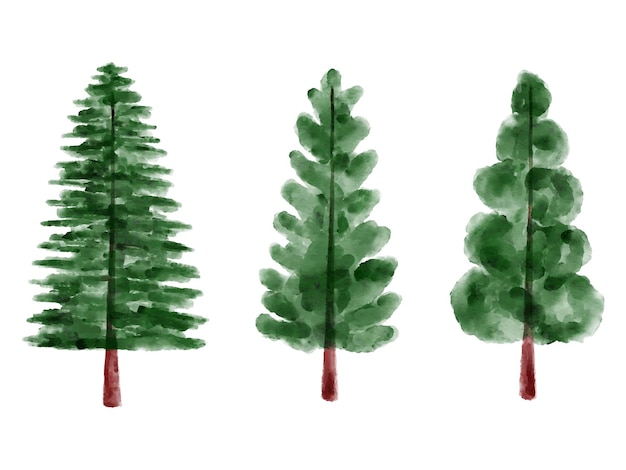 Christmas Watercolor Pine Tree Illustration