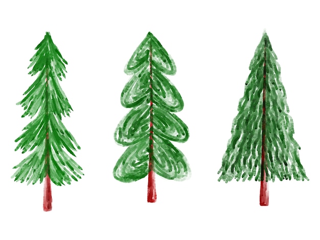 Christmas Watercolor Pine Tree Illustration