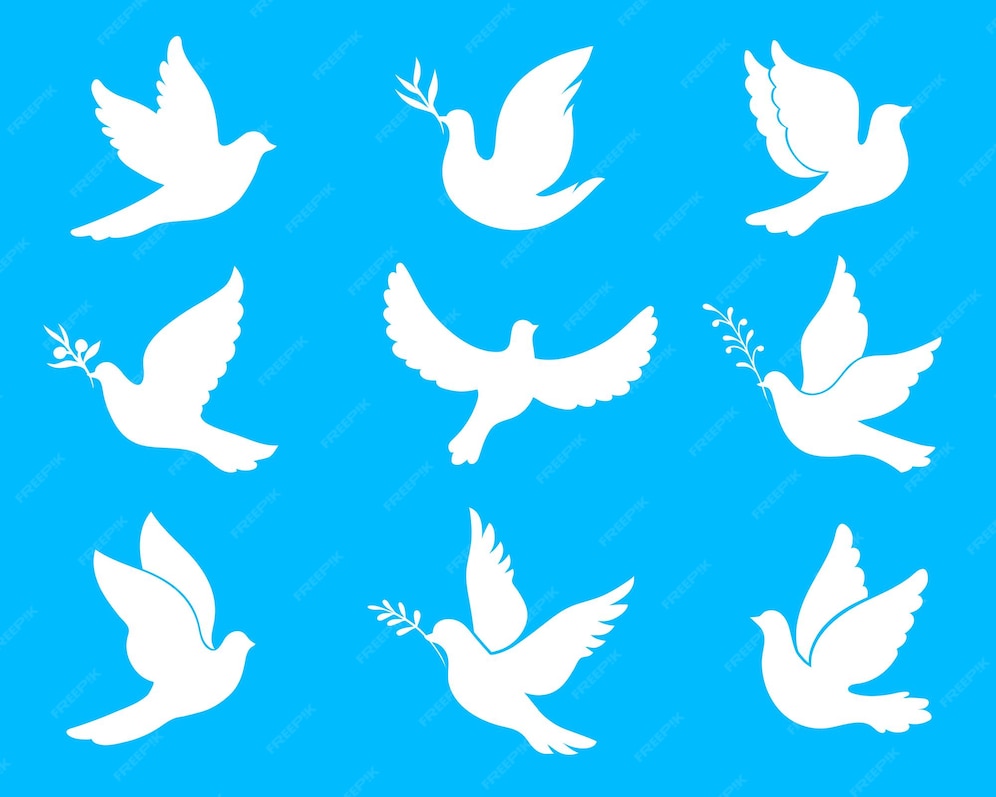 Premium Vector Christmas or wedding dove and white pigeon birds