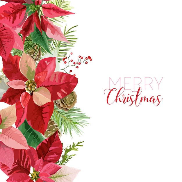 Christmas Winter Poinsettia Flowers Card or Background with place for your text