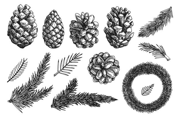 Рождественский венок и ветви разных растений, изолированные на белом фоне. эскиз, иллюстрация