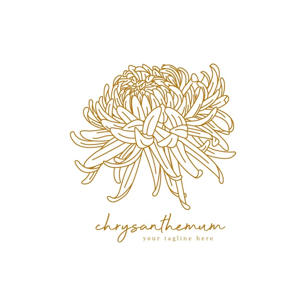 Vector chrysantemum logo bloem logo handgetekend klassiek logo voor beauty yoga business