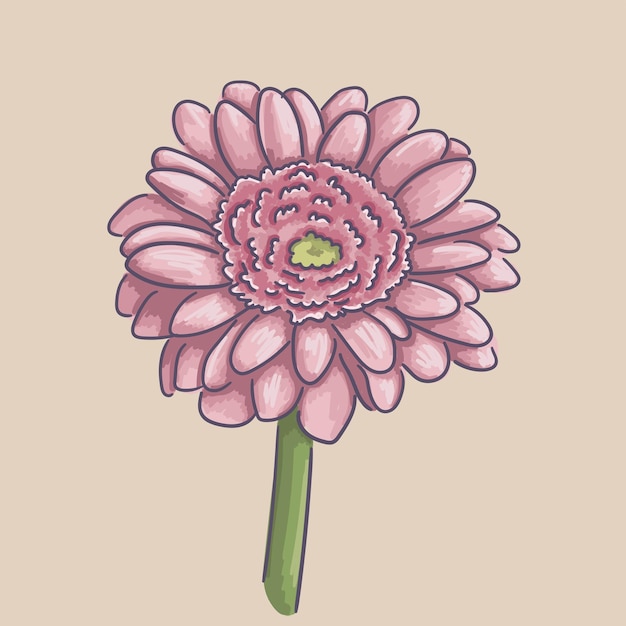 Chrysantenbloem. Gedaan in vectorafbeeldingen.