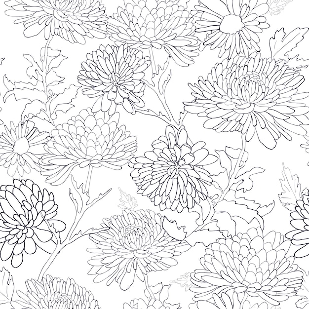 Vector chrysanthemum flower illustration