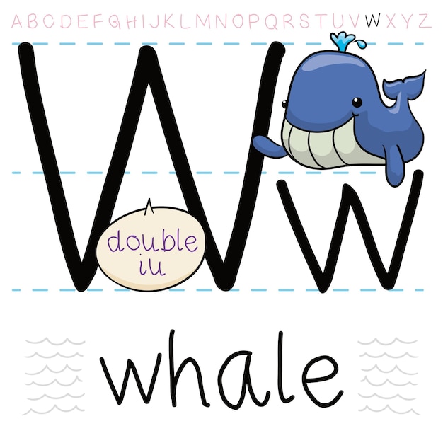 ぽっちゃりしたクジラが息を吐きながら、アルファベットと文字 W について学ぶ文法のレッスンを待っています