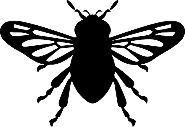Cicada black silhouette with transparent background