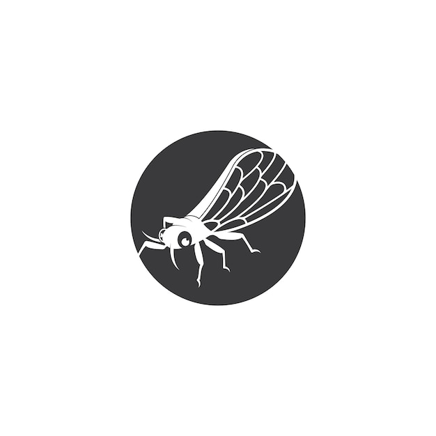 Cicada logo vector template