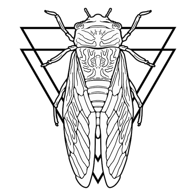 Cicada tatoeage