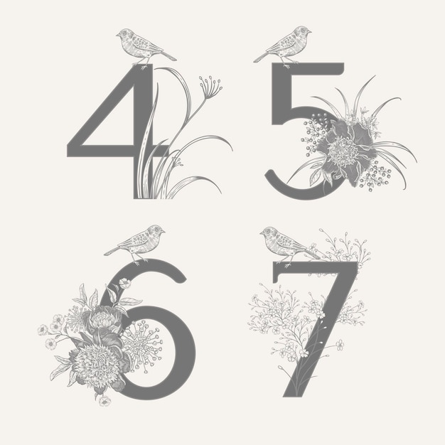 Cijfer 4 5 6 7 bloemen pioenrozen decoratieve kruiden en vogels geïsoleerde set Vector zwart-wit