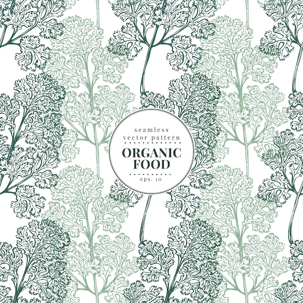 Cilantro. vector seamless pattern for design menu, packaging and recipes.