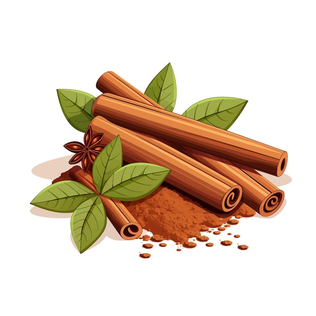 Cinnamon spice vector clipart white background