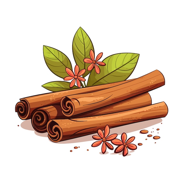 Cinnamon spice vector clipart white background