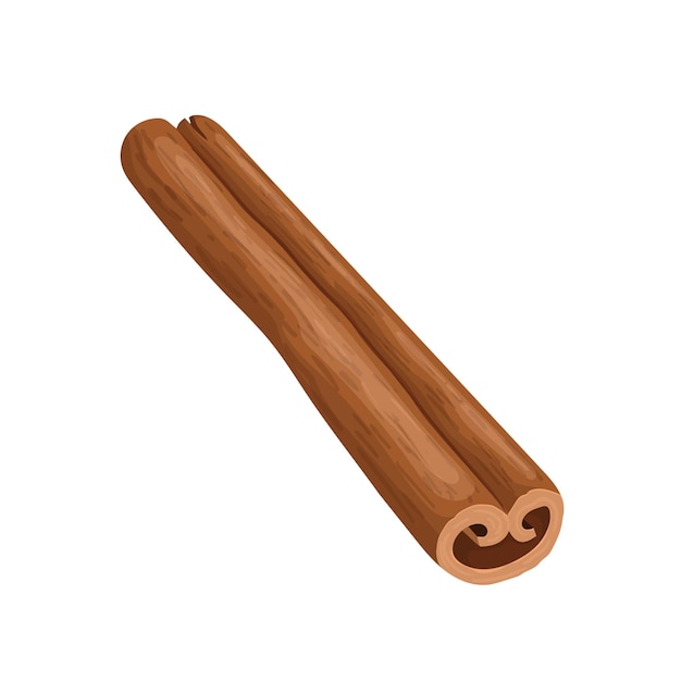 Vector cinnamon stick cartoon vector illustration