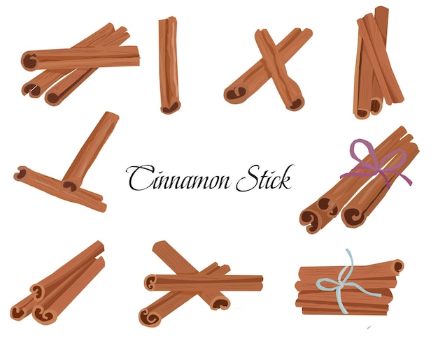 Vector cinnamon stick hand drawn illustration