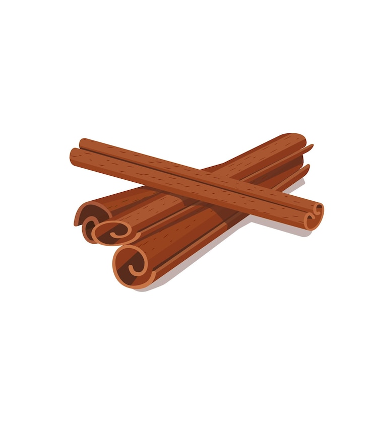 Vector cinnamon sticks isolated on white background