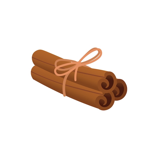 Vector cinnamon sticks tied with a ribbon on white background