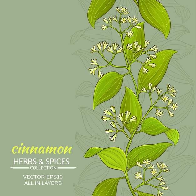 Cinnamon vector background