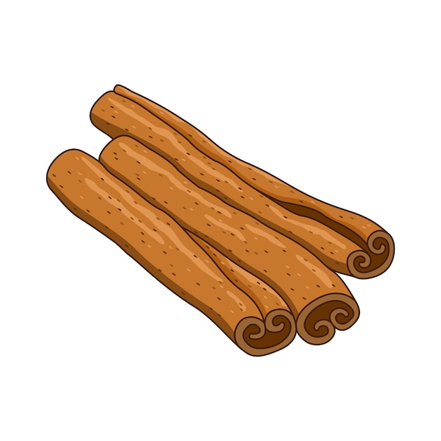 Cinnamon vector colored botanical illustration product to prepare delicious and healthy food isola