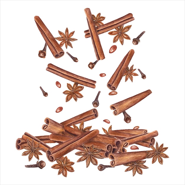 Vector cinnamons sticks star anise dried cloves badian seeds winter aromatic spices for hot drinks