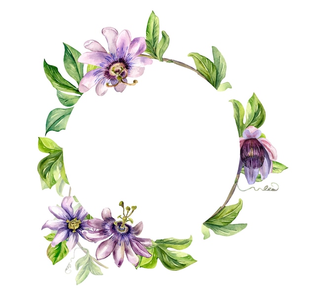 Circle frame of passion flower plant watercolor illustration isolated on white