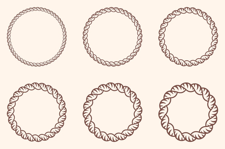Vector circle rope icon on white background