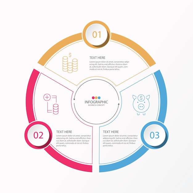 Circles infographic design with thin line and 3 options or steps