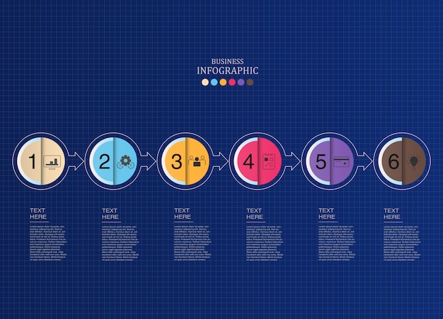 Circles infographics and icons