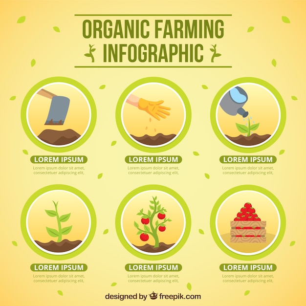 Vector circles with organic farming