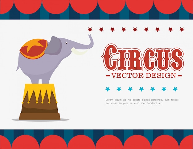 Vector circus carnival entertainment