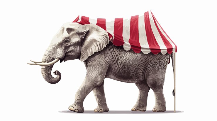 Vector circus elephant vector illustration isolated on white background